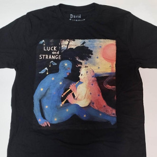 David Gilmour - Luck And Strange London Official T Shirt ( Men S , XL) ***READY TO SHIP from Hong Kong***